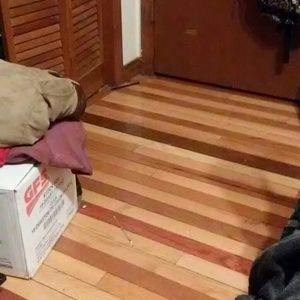 Meet your Posher, Candy